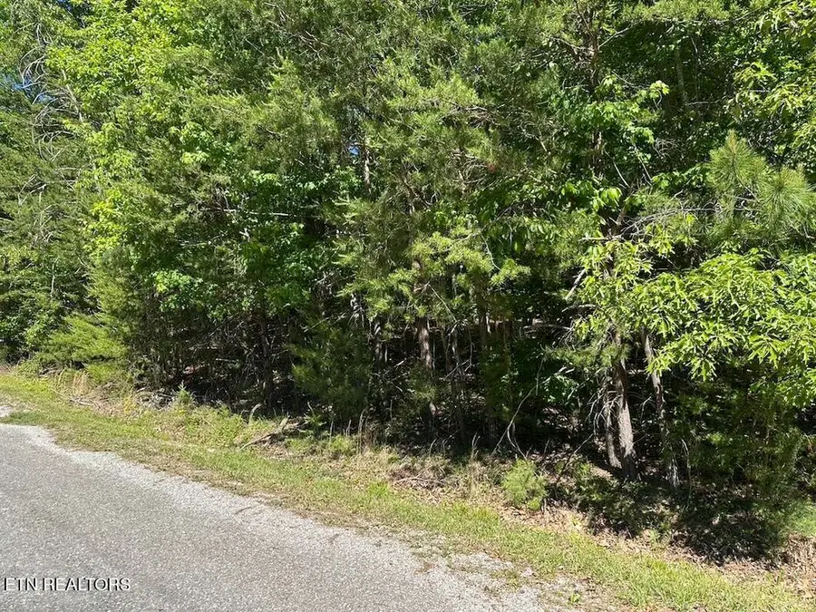 16 Norwood Place, Crossville, TN 38558 - #2