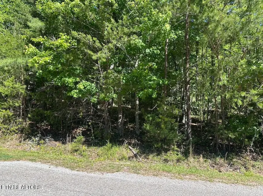 16 Norwood Place, Crossville, TN 38558 - #3