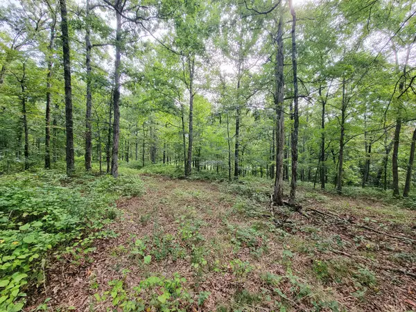 0 Ridgewood Dr, Mc Ewen, TN 37101