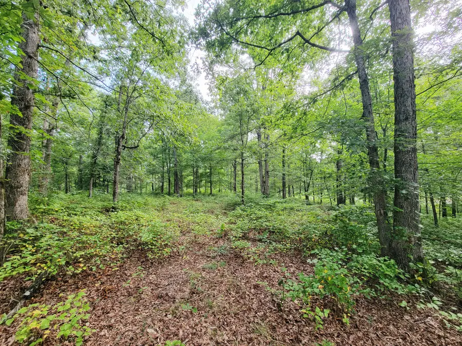 0 Ridgewood Dr, McEwen, TN 37101 - #2