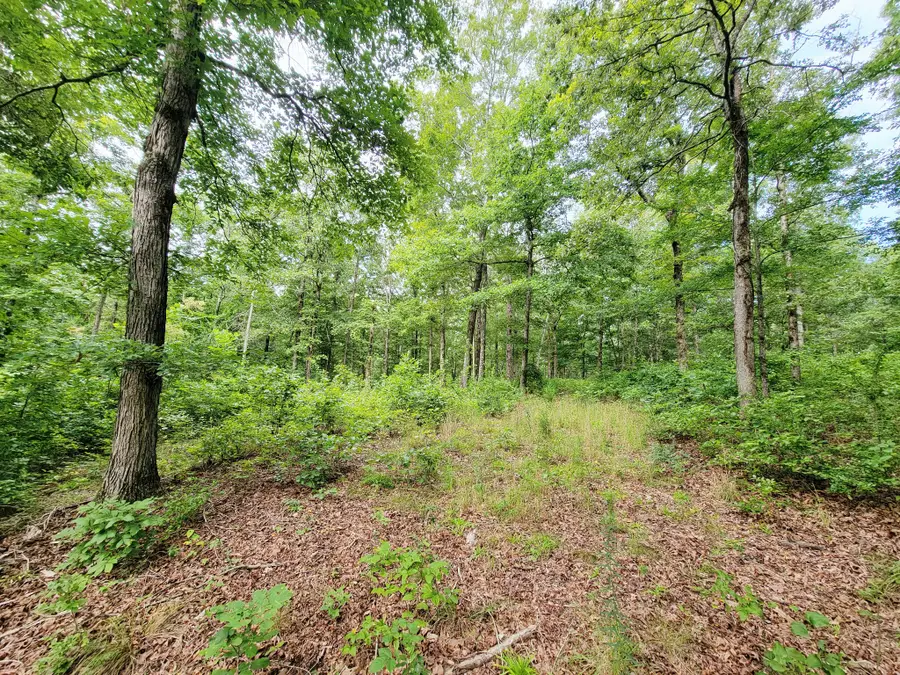 0 Ridgewood Dr, McEwen, TN 37101 - #3
