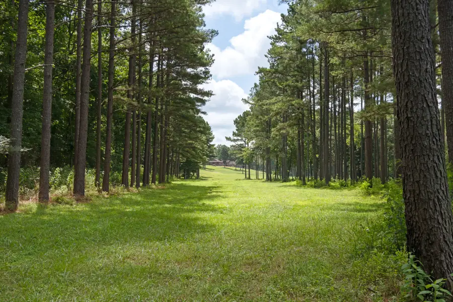 11985 Highway 641 S, Holladay, TN 38341 - #2