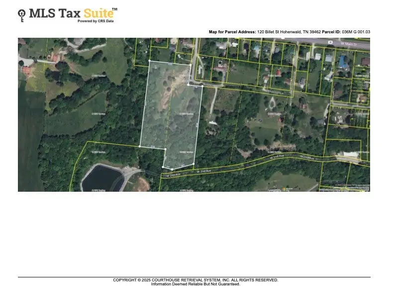 120 Billet St, Hohenwald, TN 38462 - #2