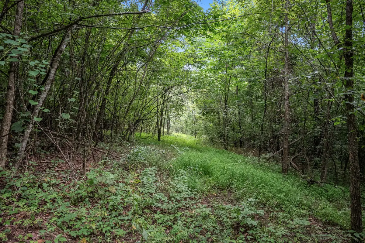 0 New Center Church Road, Shelbyville, TN 37160 - #1