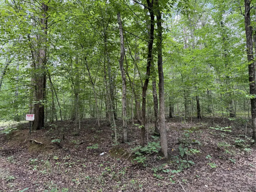 995 Hurricane Creek Road, Stewart, TN 37175 - #3