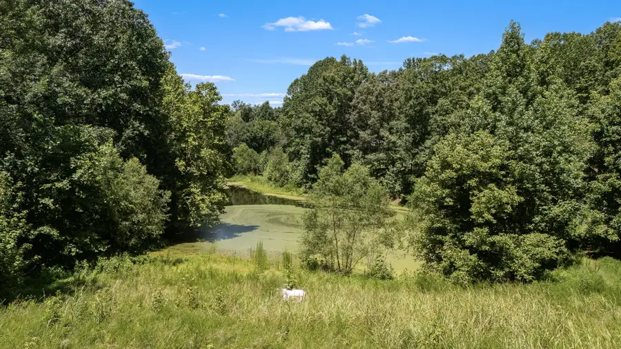 0 Light Ln, Kelso, TN 37348 - #3