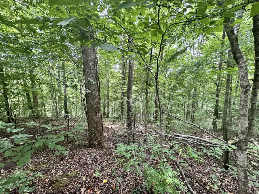 0 Les Hughes Rd, Fairview, TN 37062 - #3