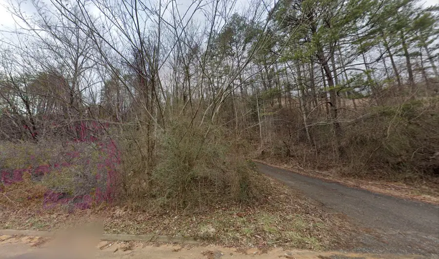 1090 Sharp Hollow Rd, Sevierville, TN 37862 - #2