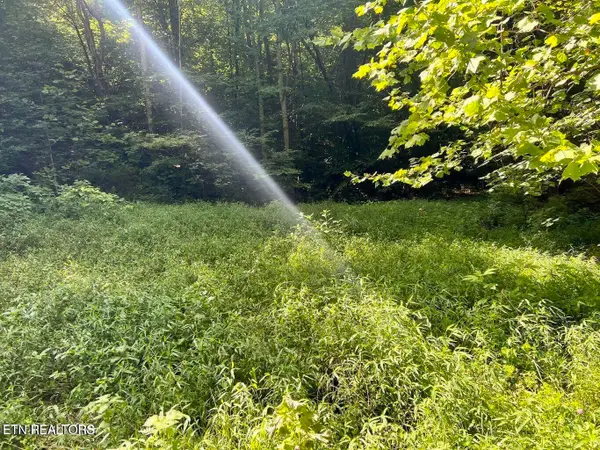 0 Jackson Ridge Rd, Tazewell, TN 37879