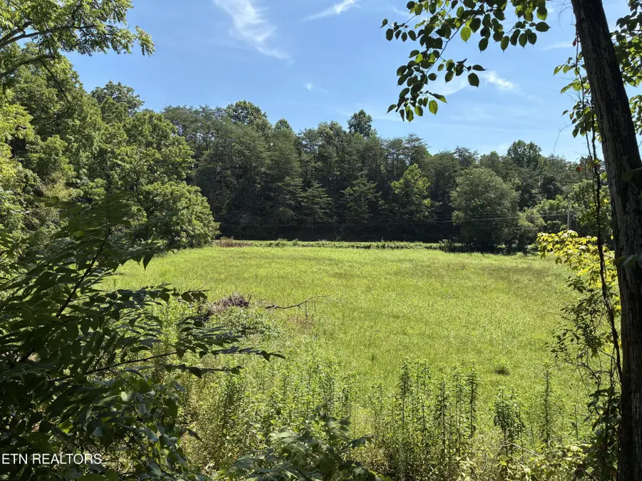 186 Drinnon Lane, Sneedville, TN 37869 - #2