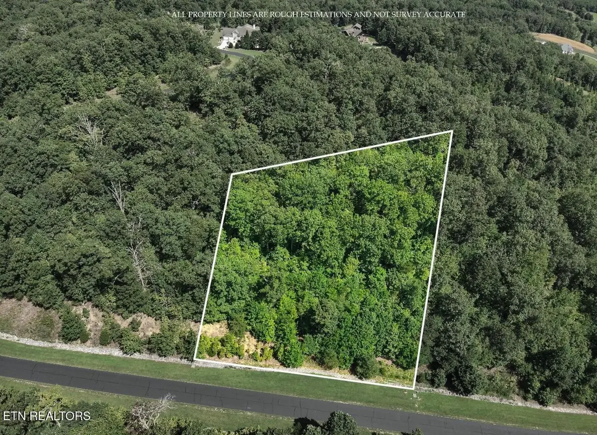393 W Mountain Drive, Rockwood, TN 37854 - #1
