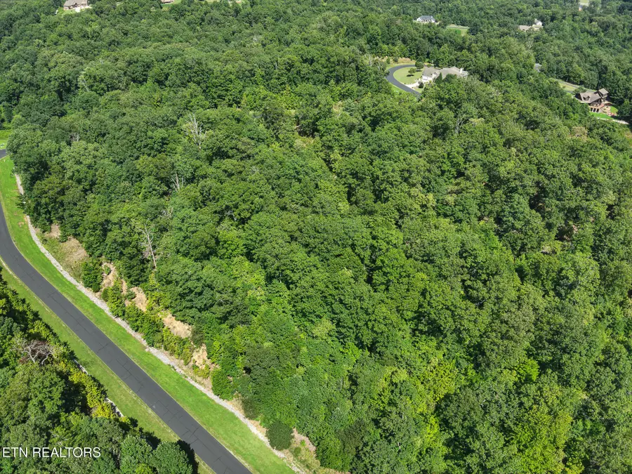 393 W Mountain Drive, Rockwood, TN 37854 - #3