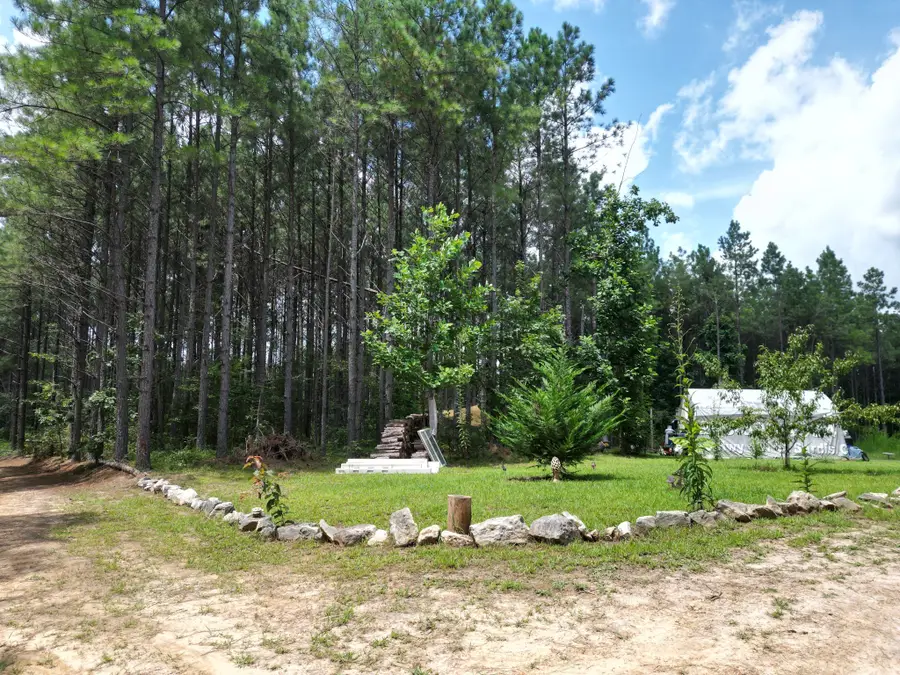126 Howard Way, Hohenwald, TN 38462 - #2