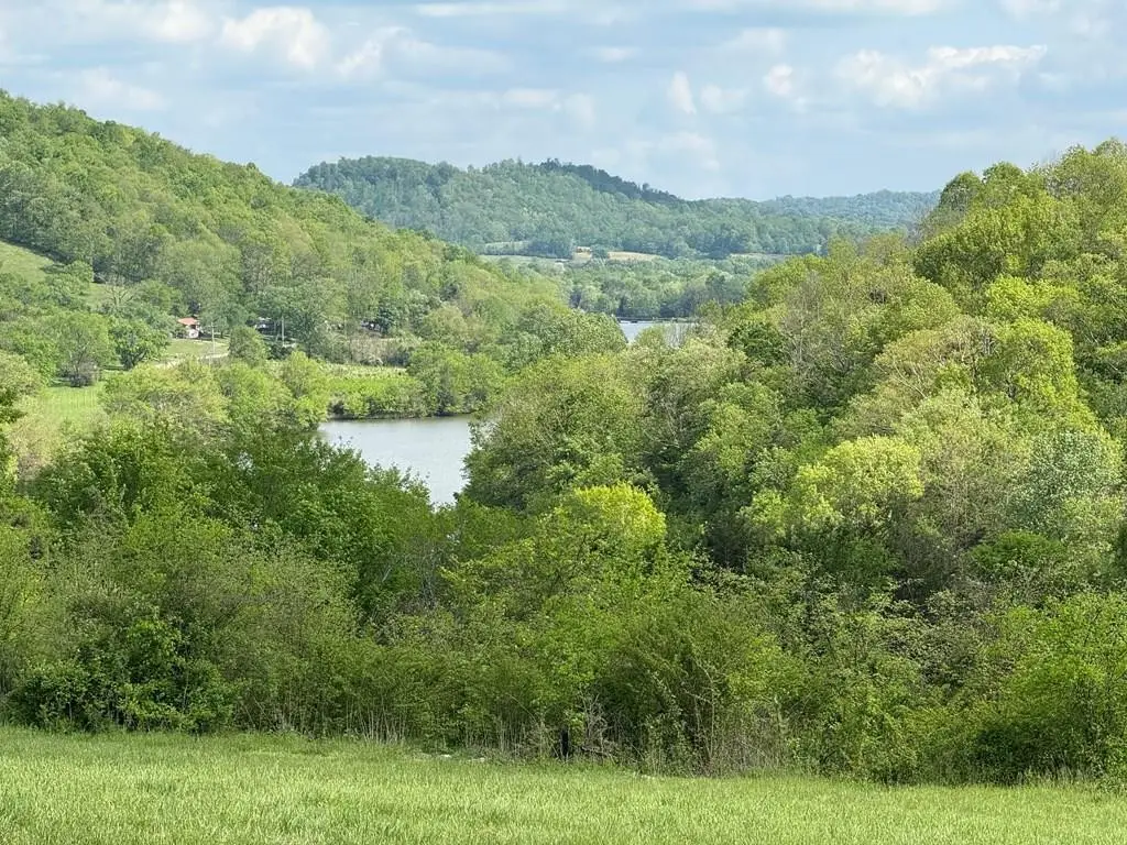222 Cook Hollow Ln, Pleasant Shade, TN 37145 - #1