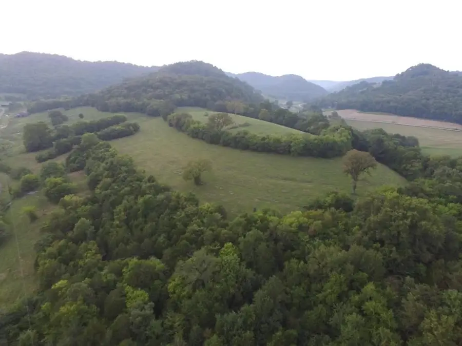 222 Cook Hollow Ln, Pleasant Shade, TN 37145 - #3