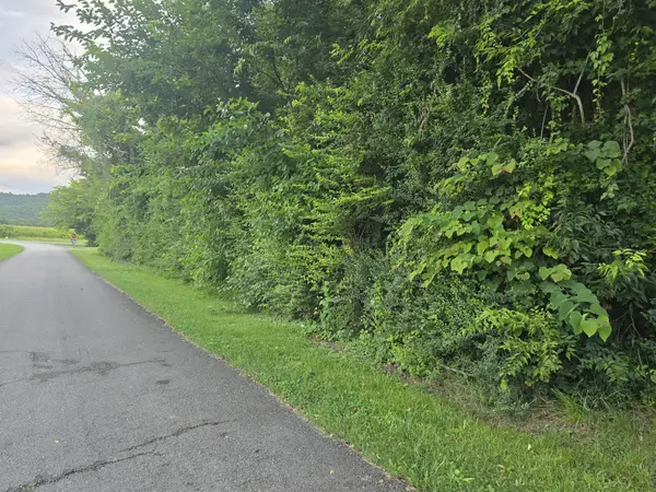 1240 Old Beersheba Rd, McMinnville, TN 37110