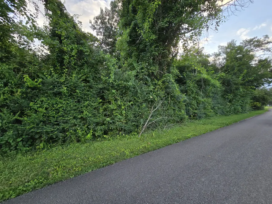 1240 Old Beersheba Rd, McMinnville, TN 37110 - #2