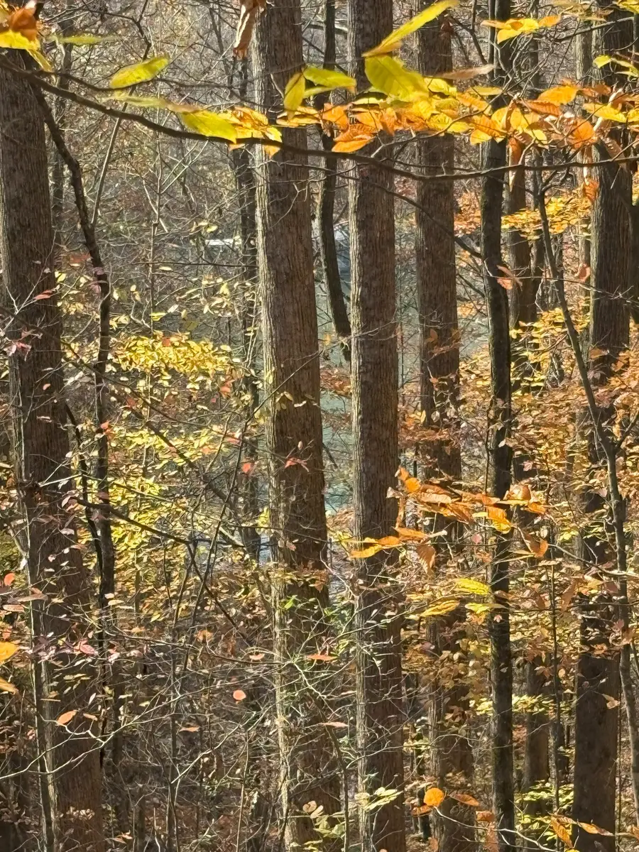 0 Old Tullahoma Rd, Estill Springs, TN 37330 - #3