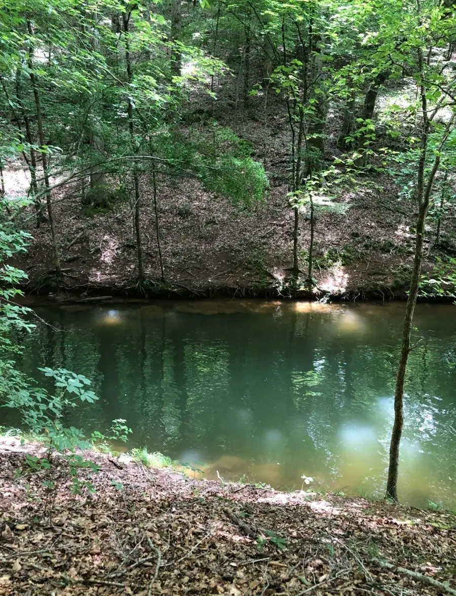 0 Old Tullahoma Rd, Estill Springs, TN 37330 - #3