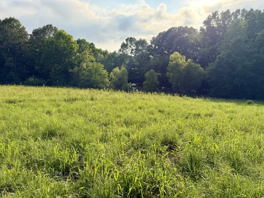 669 Houston Fielder Rd, Clarksville, TN 37043 - #2