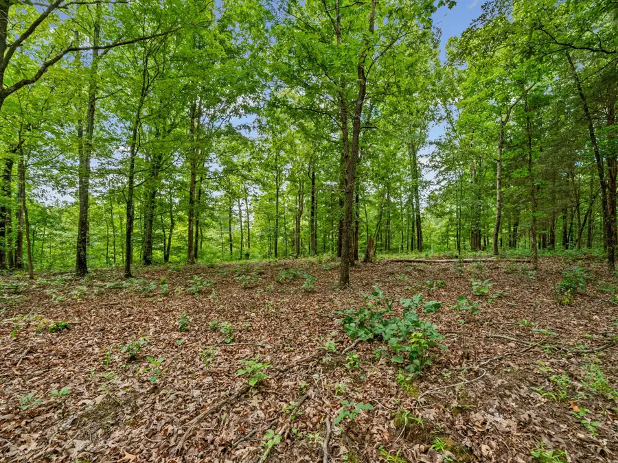 0 Old Highway 13, Cumberland City, TN 37050 - #3