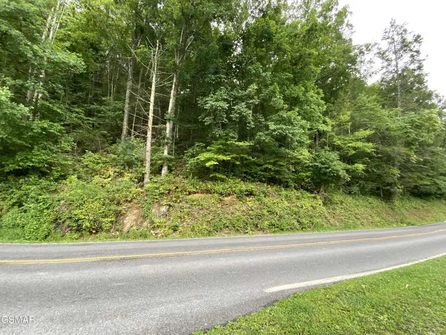 0 Glades Road, Gatlinburg, TN 37738 - #3