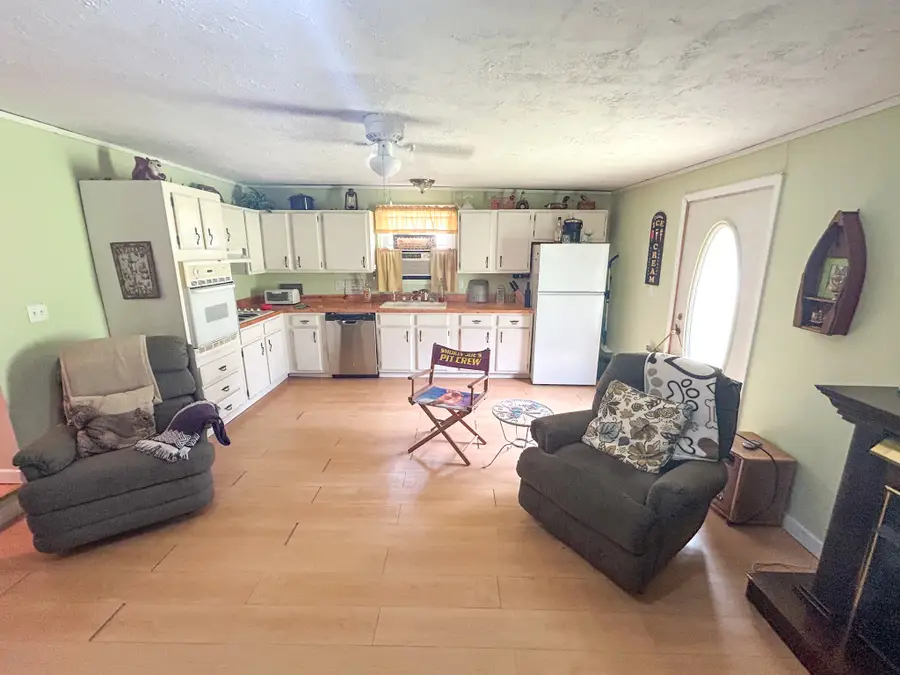 50 Apache Dr, Springville, TN 38256 - #3