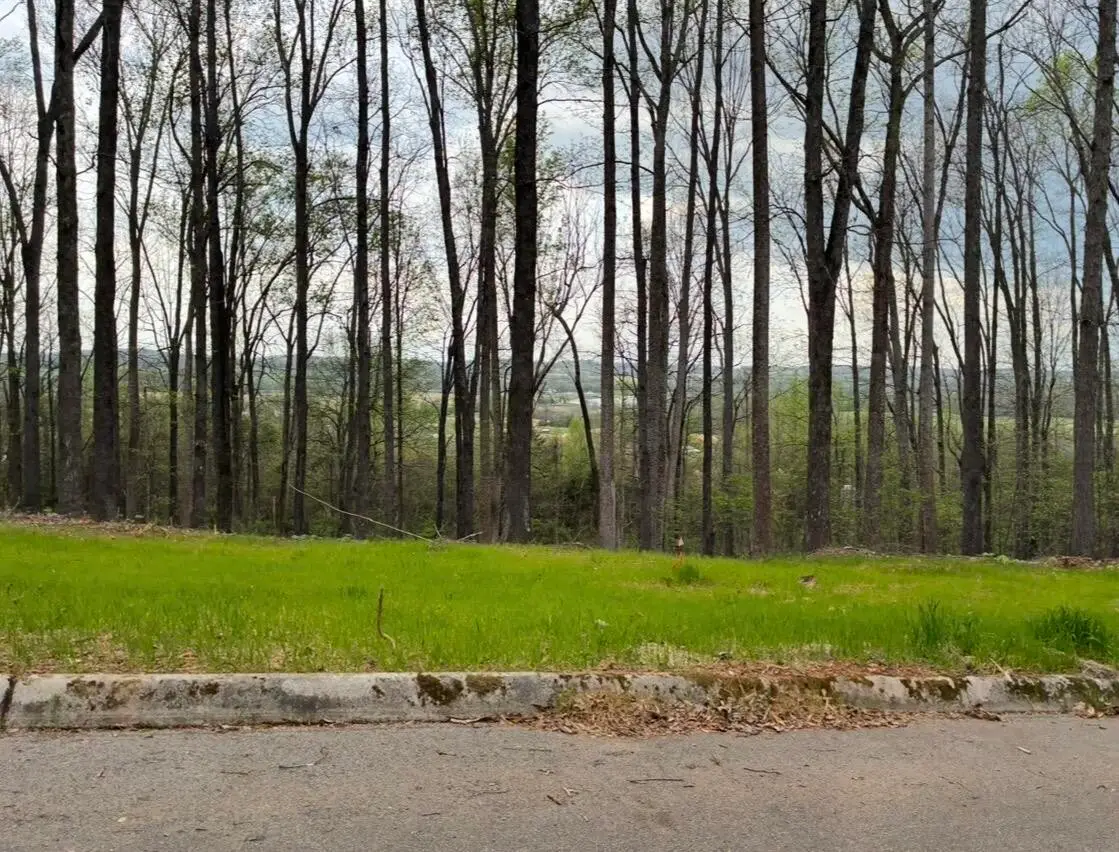 0 Lot 10 Poplar Drive, Sweetwater, TN 37874 - #1
