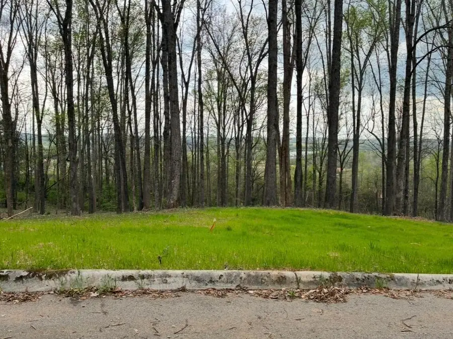0 Lot 10 Poplar Drive, Sweetwater, TN 37874 - #2