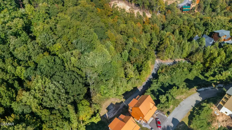 13 Pine Valley Way, Pigeon Forge, TN 37862 - #3