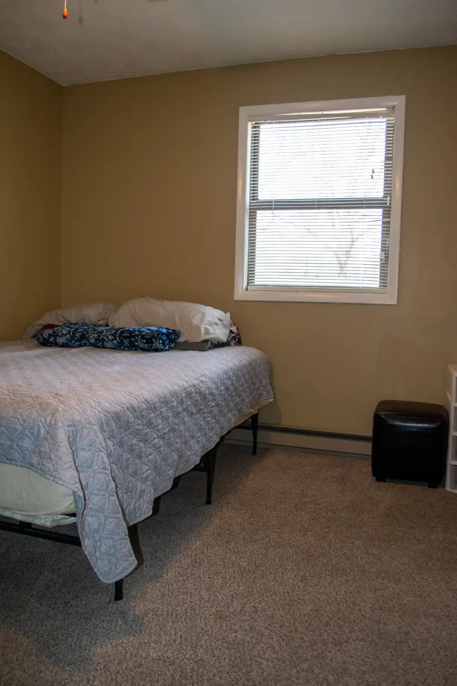 169 Wyndotte Way, Ledbetter, KY 42058 - #3