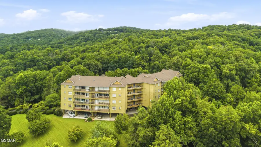 338 Pinnacle View Way #153, Gatlinburg, TN 37738 - #2