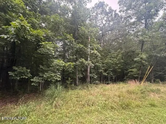 3333 Warpath Drive, Crossville, TN 38572 - #2