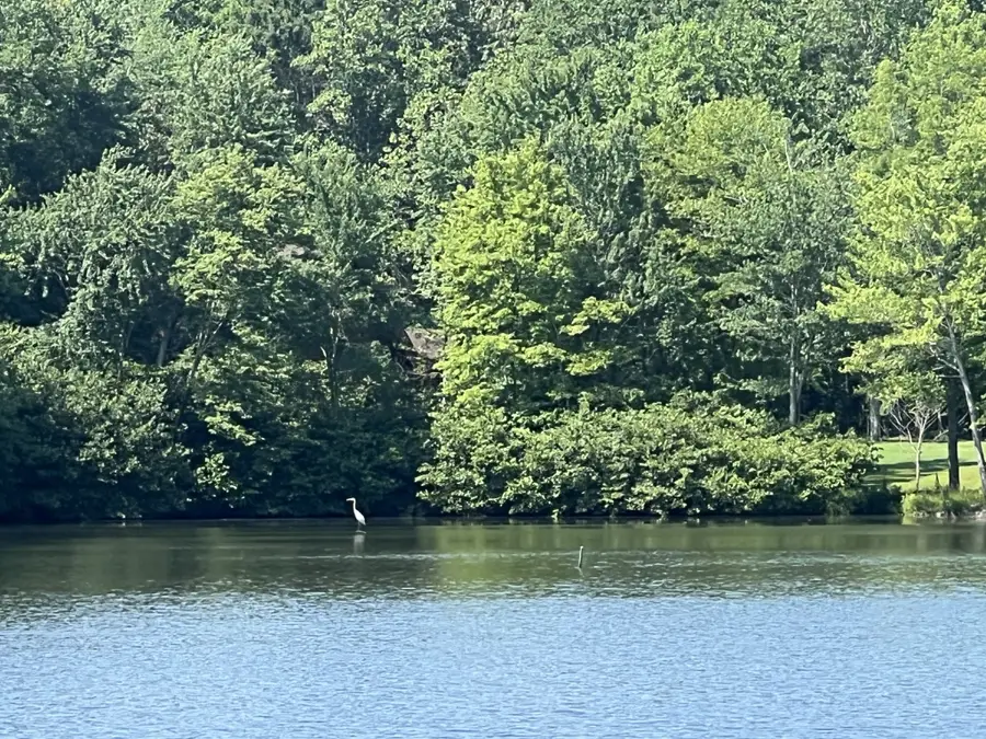 33 Arrowhead Pt Lot 175, Cedar Grove, TN 38321 - #3