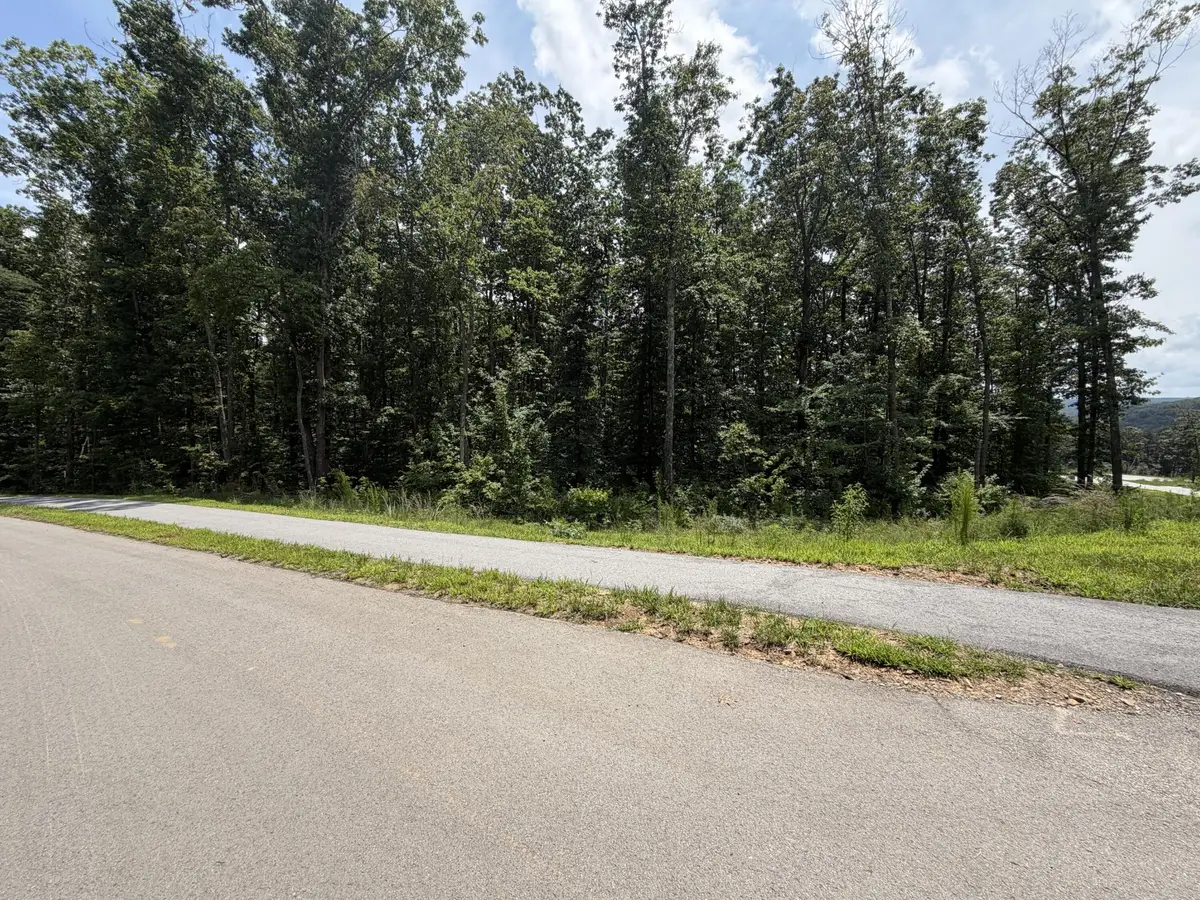 8482 Big Sky Lane, Signal Mountain, TN 37377 - #1