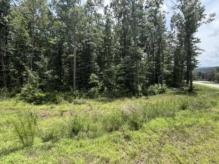 8482 Big Sky Lane, Signal Mountain, TN 37377 - #2