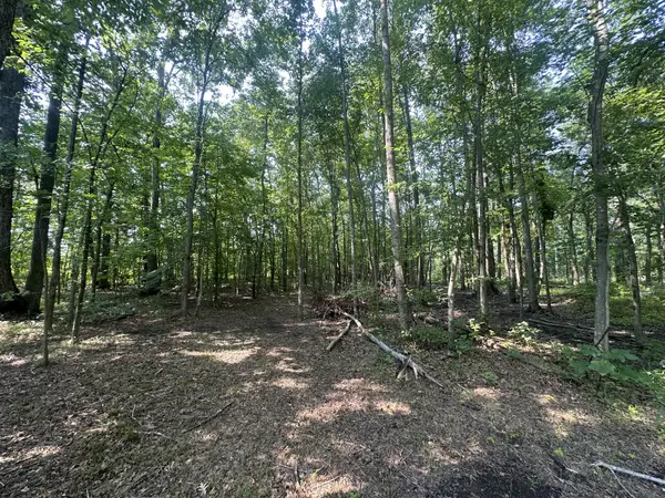 0 S Pinson Dr, White House, TN 37188