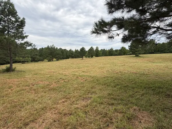 1310 Hwy 120, Big Rock, TN 37023