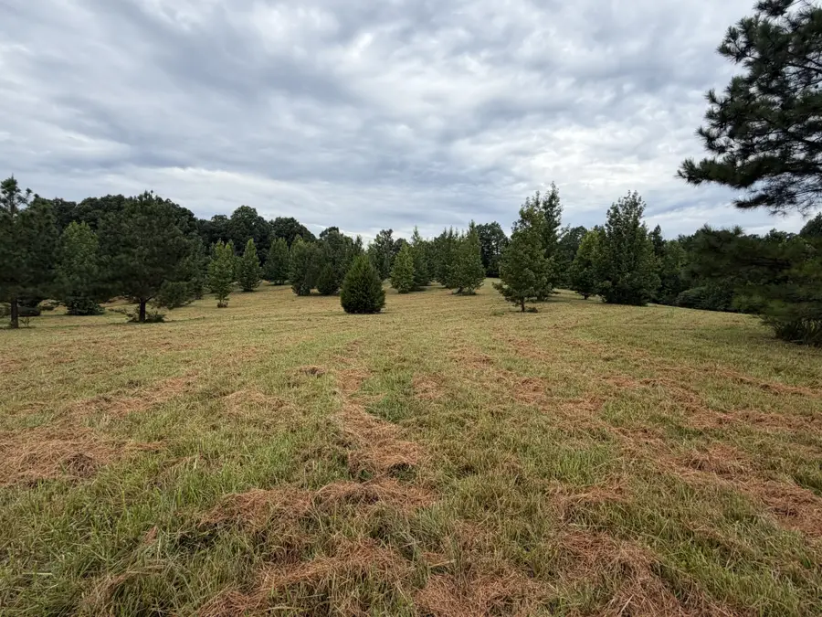 1310 Hwy 120, Big Rock, TN 37023 - #3