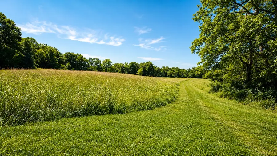 539 Wallace Rd, Gallatin, TN 37066 - #2