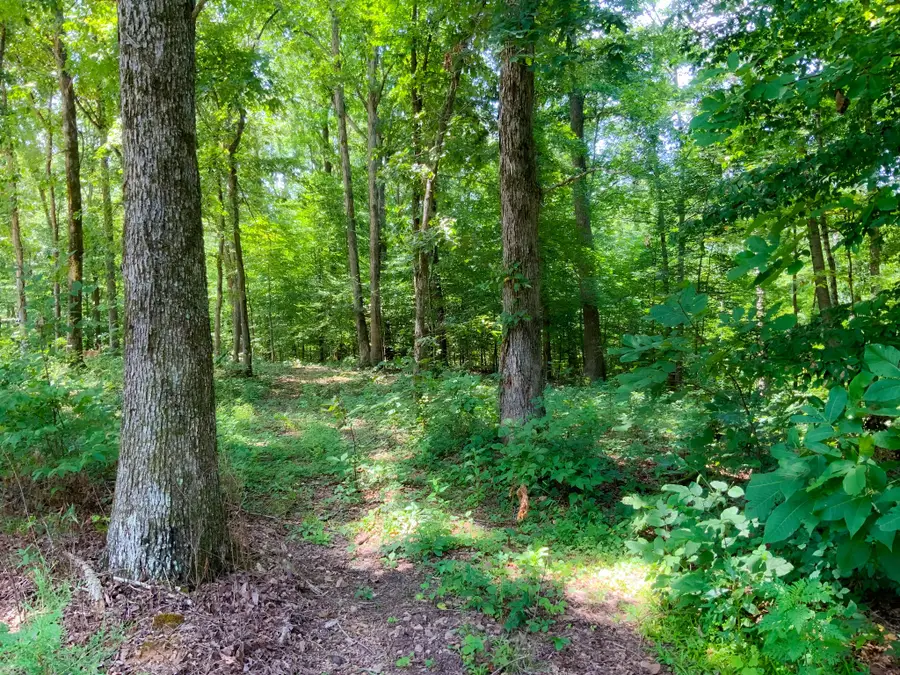 0 Deadwood Drive, Dover, TN 37058 - #3