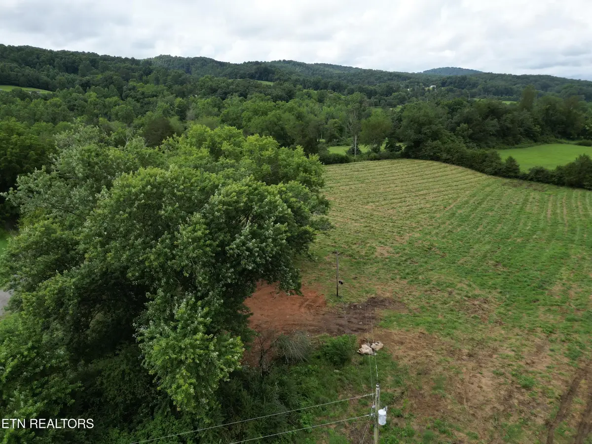 317 Singleton Hollow Rd, Speedwell, TN 37870 - #1