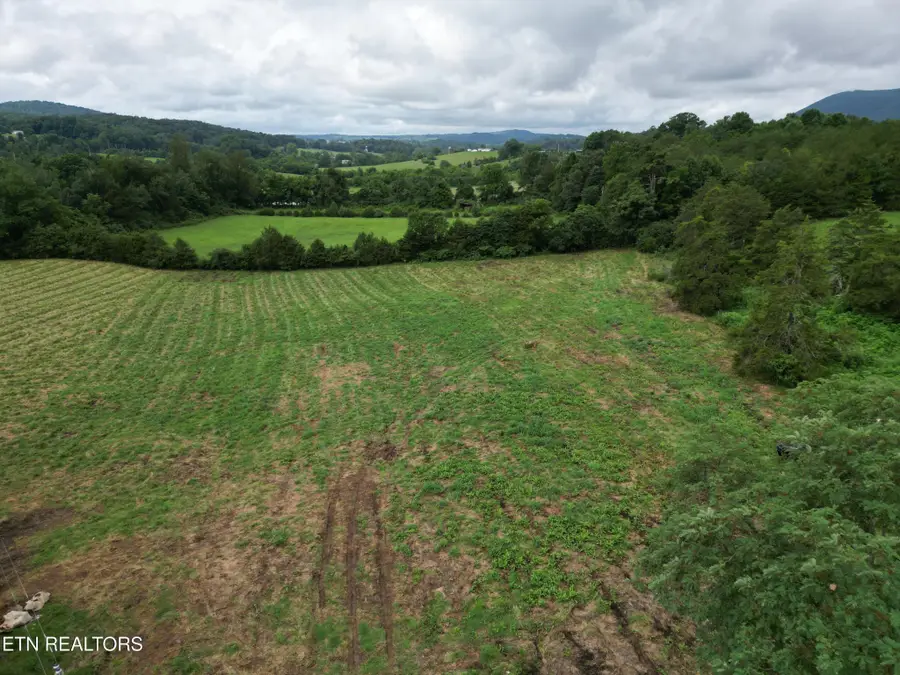 317 Singleton Hollow Rd, Speedwell, TN 37870 - #2