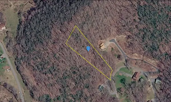 226 Black Bear Rdg, Roan Mountain, TN 37687