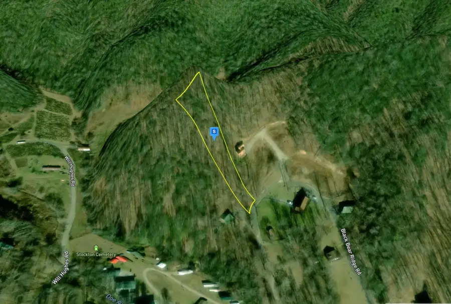 226 Black Bear Rdg, Roan Mountain, TN 37687 - #2