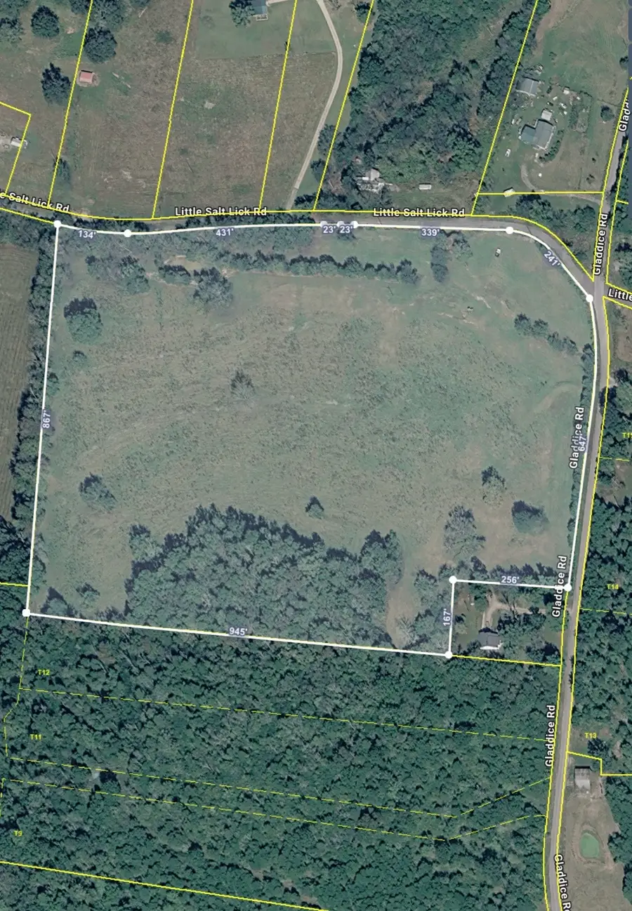 175 Little Salt Lick Road, Carthage, TN 37030 - #2