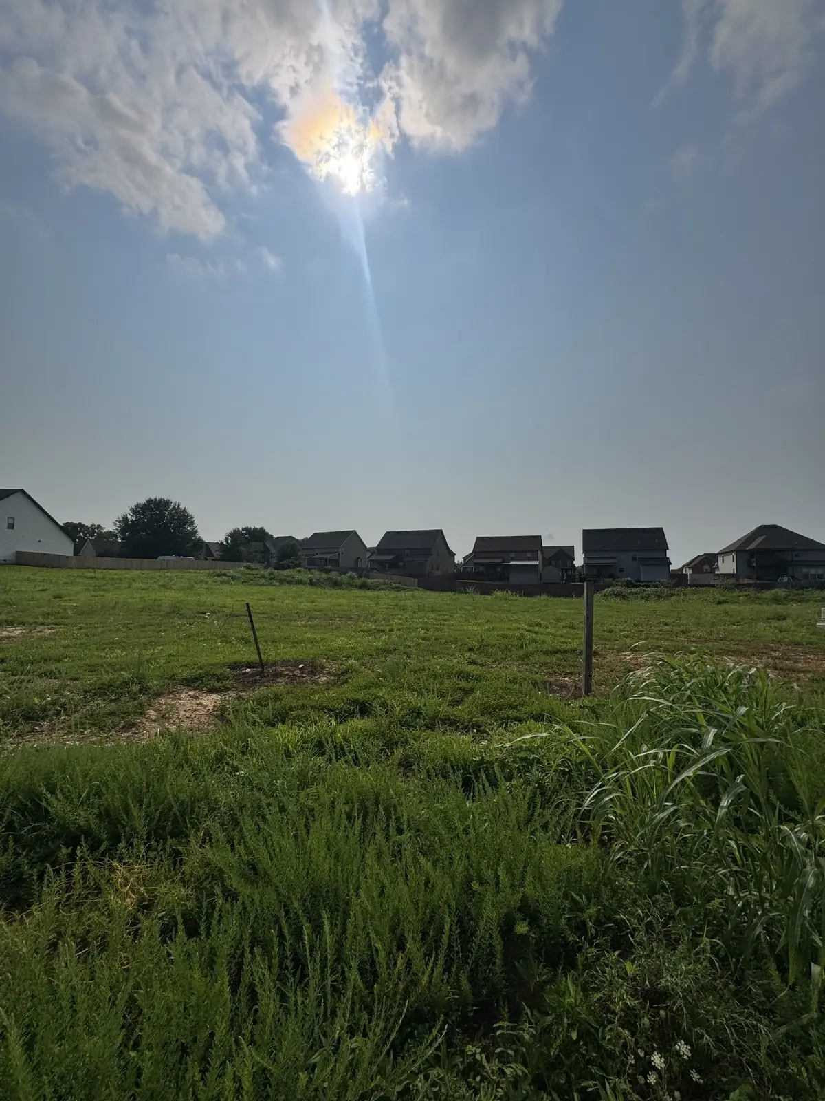 251 Autumnwood Farms, Clarksville, TN 37042 - #1