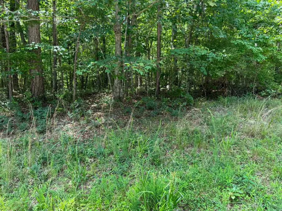 0 Street Place Loop, Monterey, TN 38574 - #2