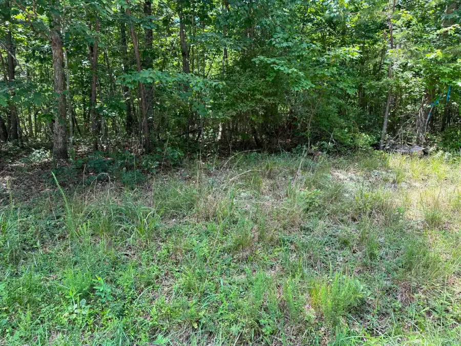 0 Street Place Loop, Monterey, TN 38574 - #3