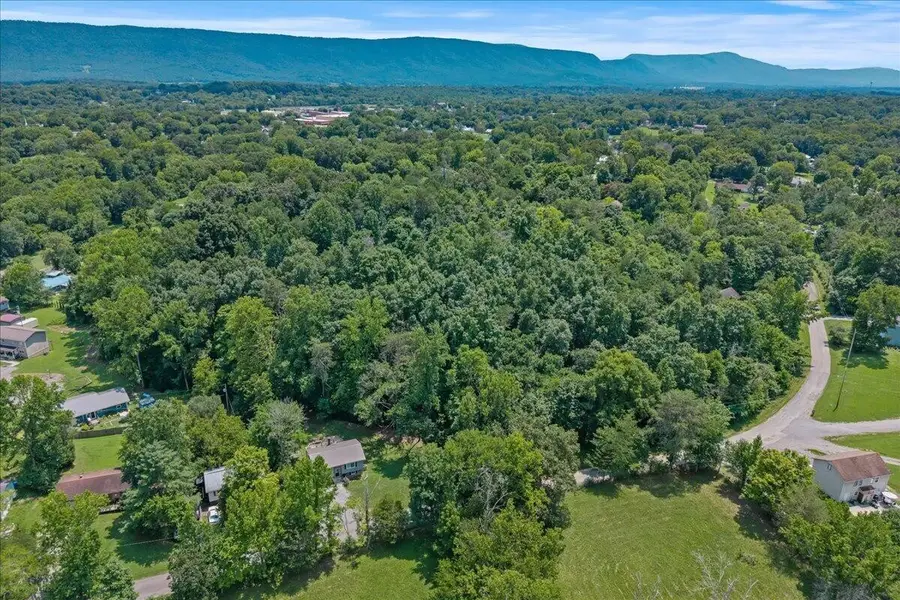 0 Thacker Lane, Etowah, TN 37331 - #3